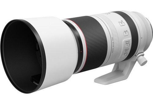 Canon RF100-500mm F4.5-7.1 L IS USM (RF100-500)