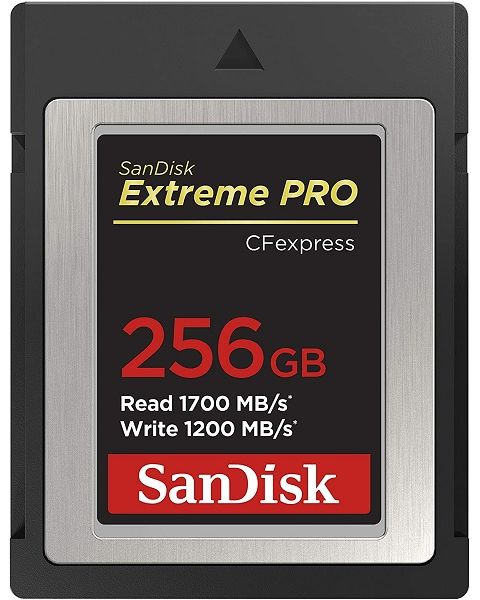 بطاقة ذاكرة Extreme PRO Cfexpress من سانديسك 256 جيجابايت (SDCFE-256G-GN4NN)