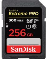 سانديسك بطاقة الذاكرة 256 جيجابايت (SDSDXDK-256G-GN4IN)
